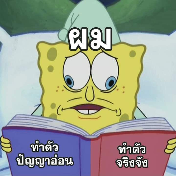 9 tweet media