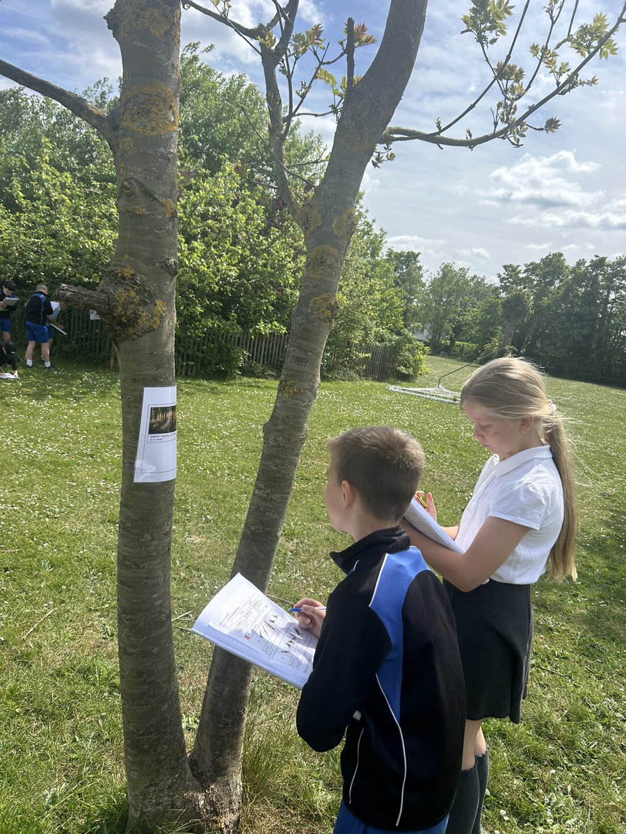 ShawleyPrimary's tweet image. Tigers were able to take their learning of characterising birds with a bird hunt around our lovely grounds. Their knowledge of different birds was very impressive! @ShawleyPrimary @LEOacademies @kapowprimary 
#WeAreLEO #primaryscience