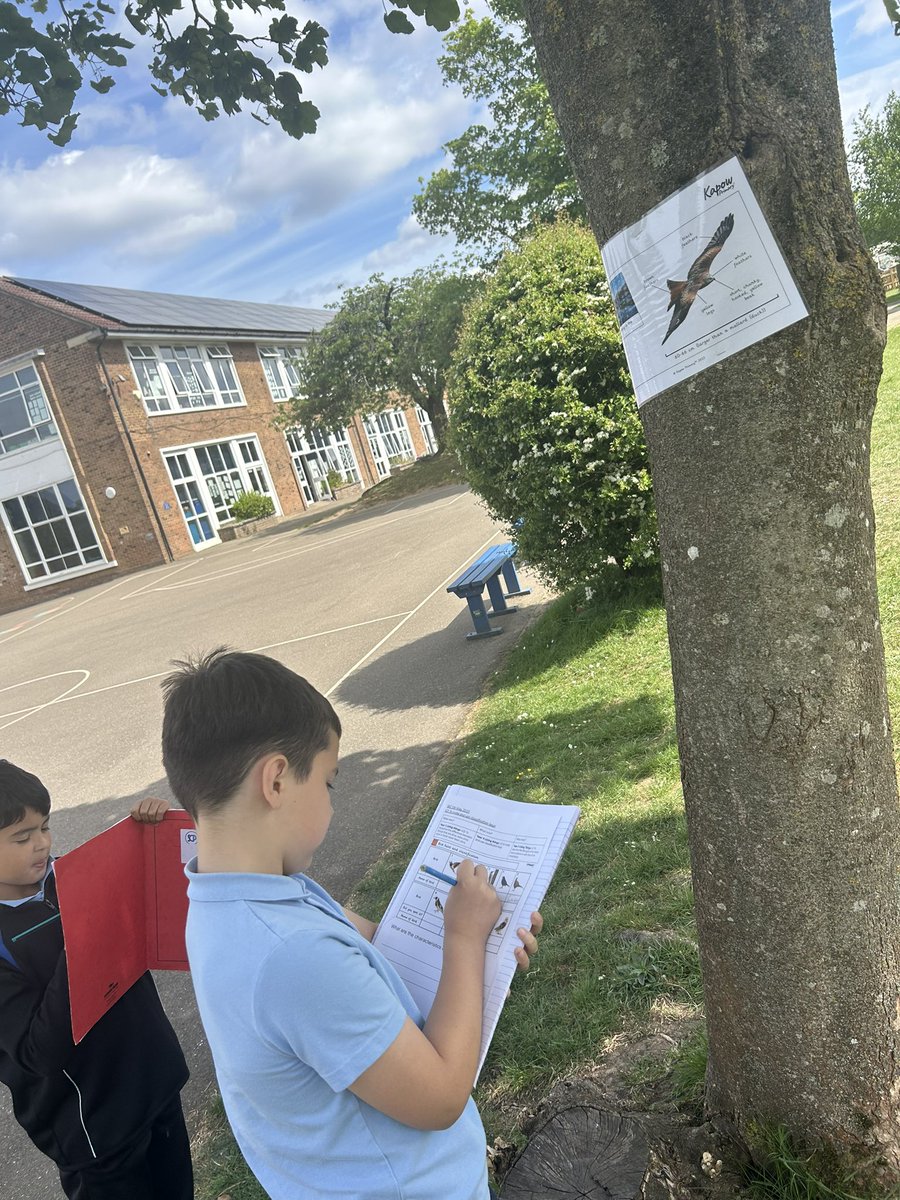 ShawleyPrimary's tweet image. Tigers were able to take their learning of characterising birds with a bird hunt around our lovely grounds. Their knowledge of different birds was very impressive! @ShawleyPrimary @LEOacademies @kapowprimary 
#WeAreLEO #primaryscience