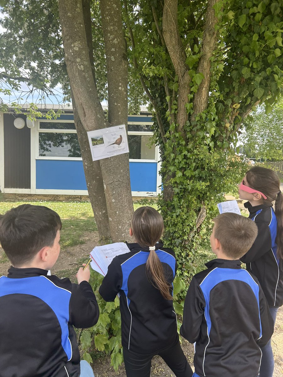 ShawleyPrimary's tweet image. Tigers were able to take their learning of characterising birds with a bird hunt around our lovely grounds. Their knowledge of different birds was very impressive! @ShawleyPrimary @LEOacademies @kapowprimary 
#WeAreLEO #primaryscience