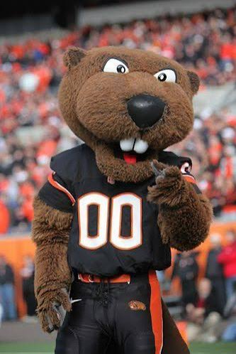 Dale perry (@daleperry0) on Twitter photo After a conversation with coach chance I am blessed to receive an offer from Oregon state #AGTG <a href="/RecruitLangston/">Hughes Football</a> After a conversation with coach chance I am blessed to receive an offer from Oregon state #AGTG <a href="/RecruitLangston/">Hughes Football</a>