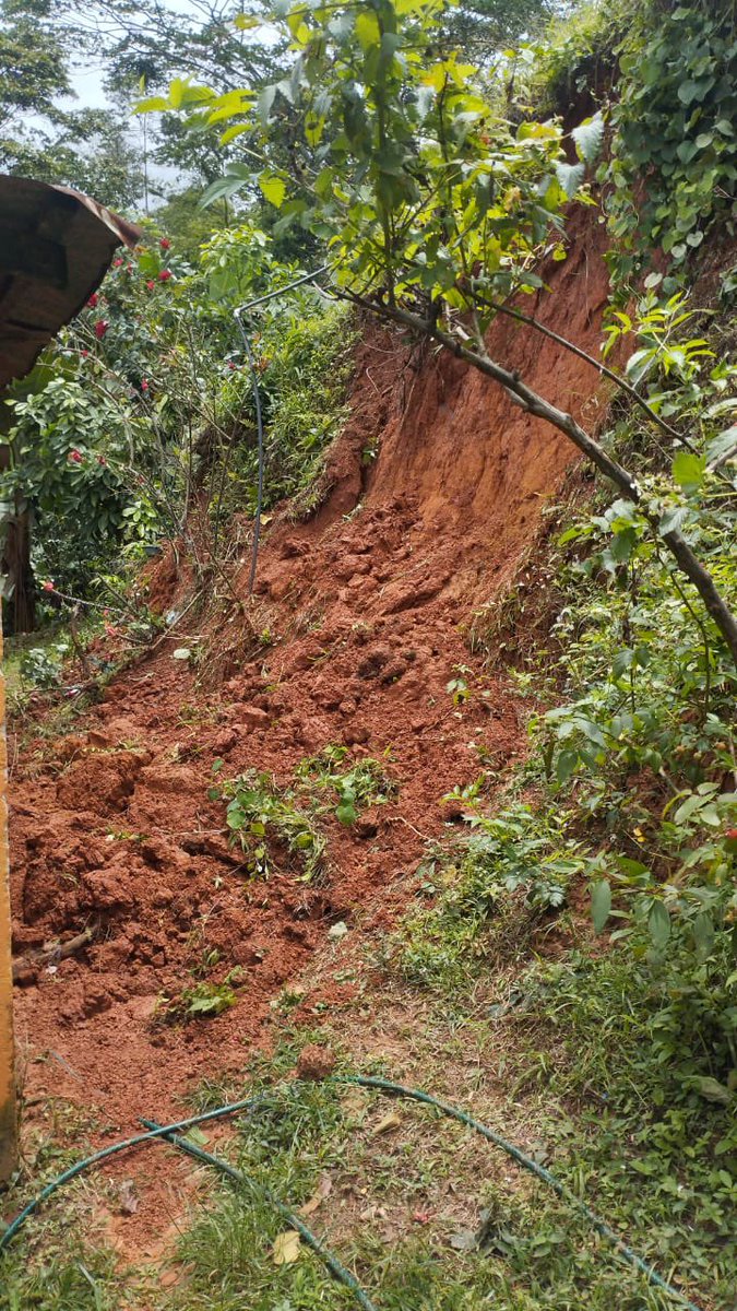ascamzul's tweet photo. 🚨Comunidades campesinas de diferentes veredas y sectores de El Zulia - damnificados por emergencia de lluvias, vías incomunicadas, viviendas afectadas y cosechas destruidas @GoberNorte @UNGRD @RadNalCo @CaracolCucuta @laopinion_col @MinAgricultura @albertobemo @ElZuliaNdS https://t.co/lLyJyv6IJL