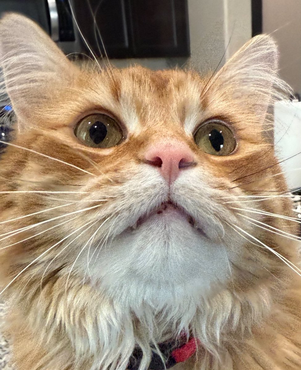 Andrew McCarthy (@ajamesmccarthy) on Twitter photo 