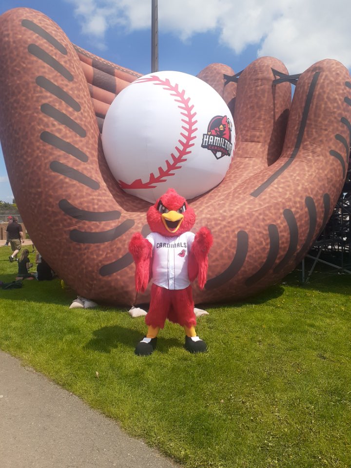 I love our <a href="/HamCardinalsIBL/">Hamilton Cardinals</a> big huge baseball glove!