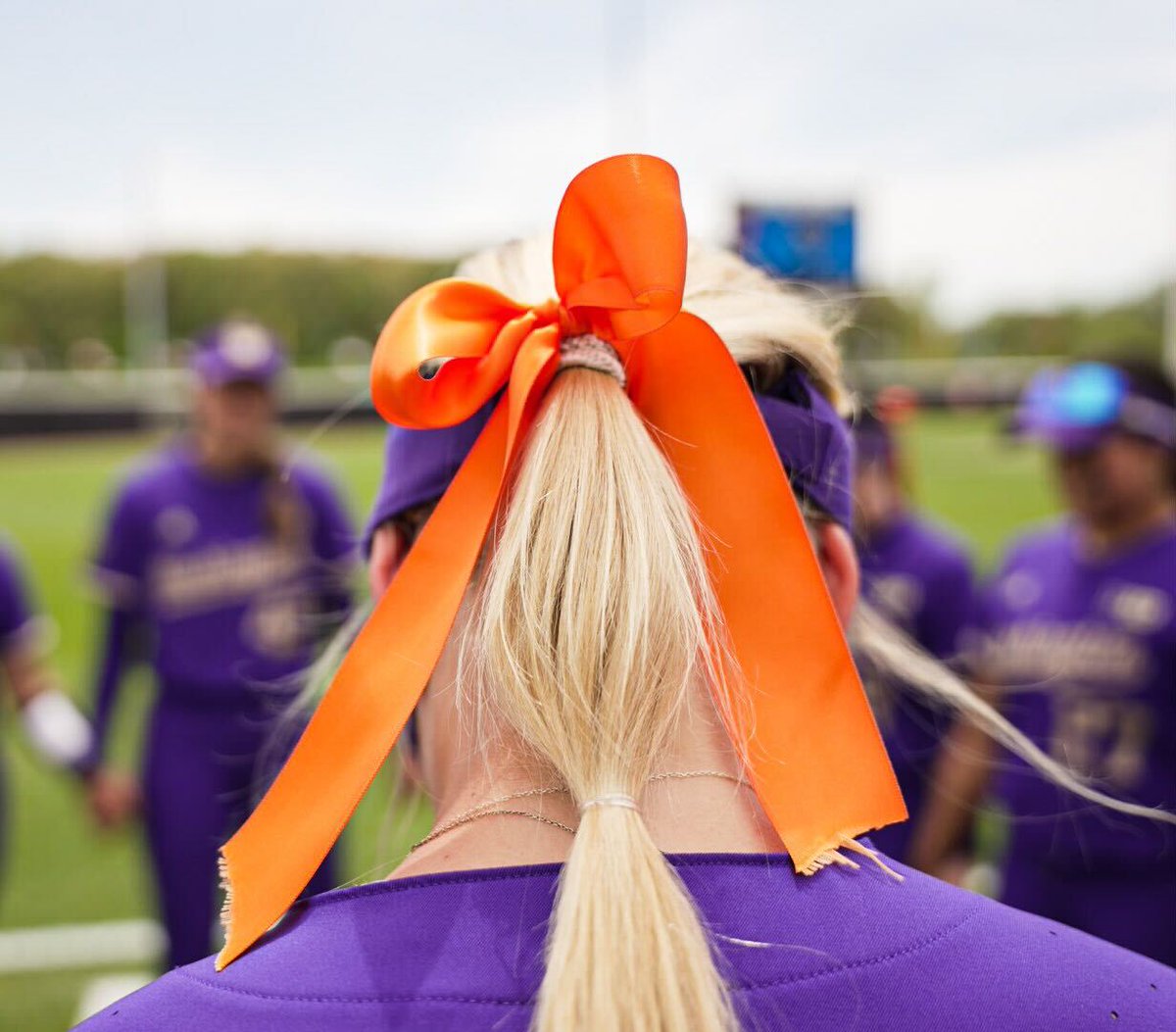 Washington Softball tweet media