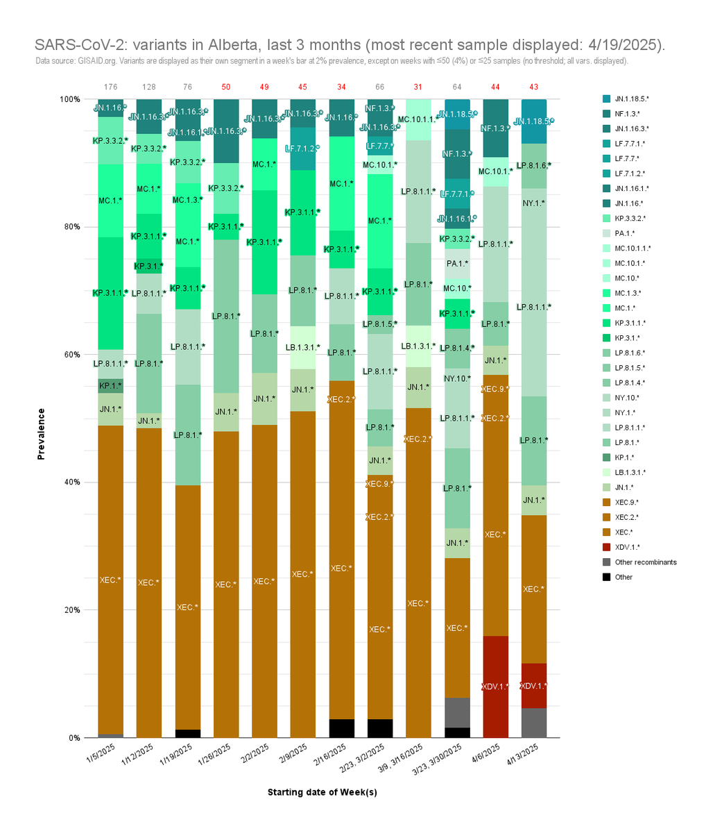 UPDATED: #Alberta #SARSCoV2 variants.

⚠️ Only 44, 43 samples for weeks of 4/6, 4/13 respectively ⚠️

Week of 4/13:
XDV.1.*: 7% (⬇️ 15.9%, w.o. 4/6)
XEC.*: 23.3% (⬇️ 40.9%)
LP.8.1.*: 53.5% (⬆️ 25%)
LP.8.1.1.* (= NY.*): 32.6% (⬆️ 18.2%)

ratnegative.tumblr.com/ABVariants #COVID19