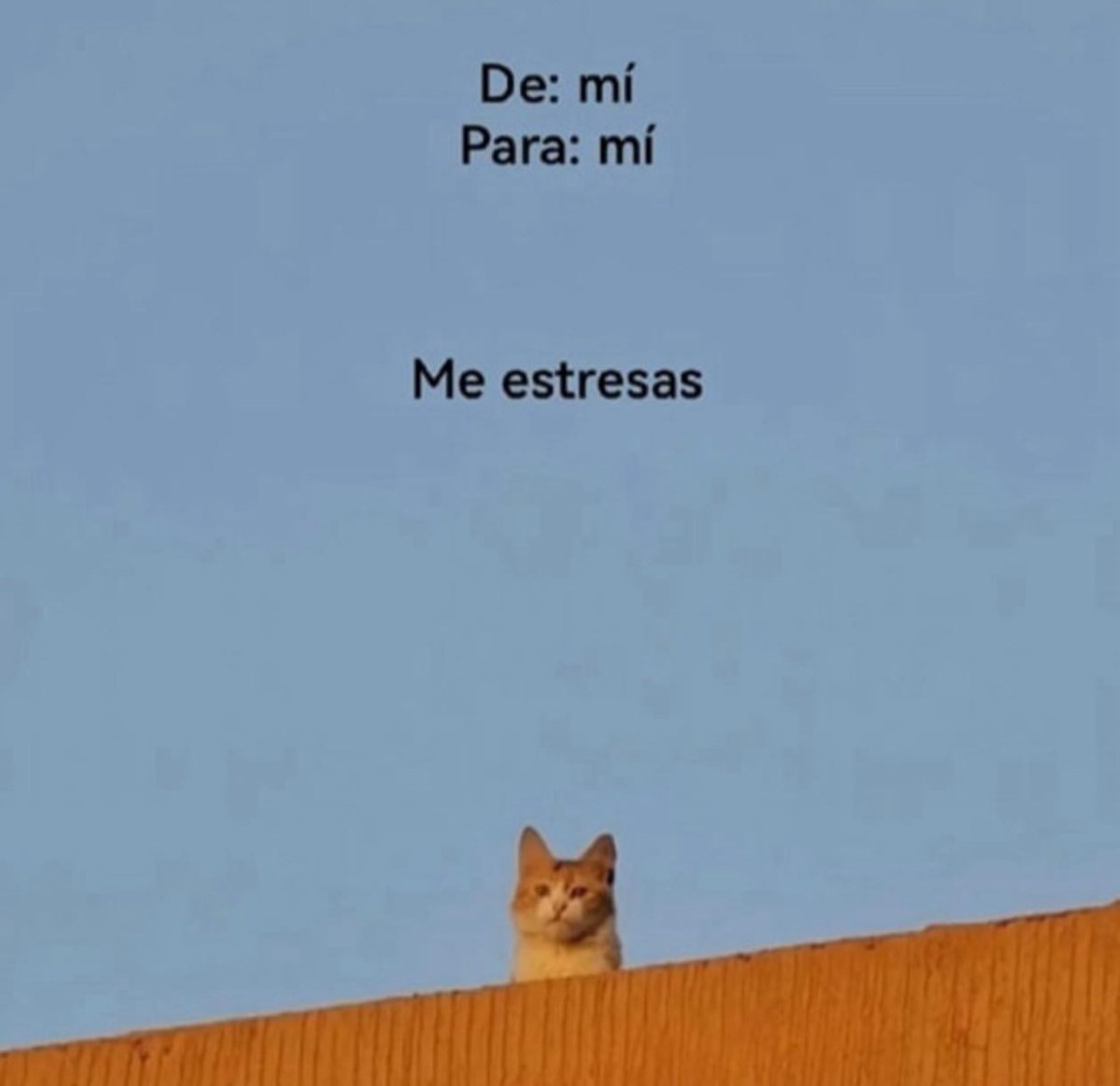 Recordatorio.