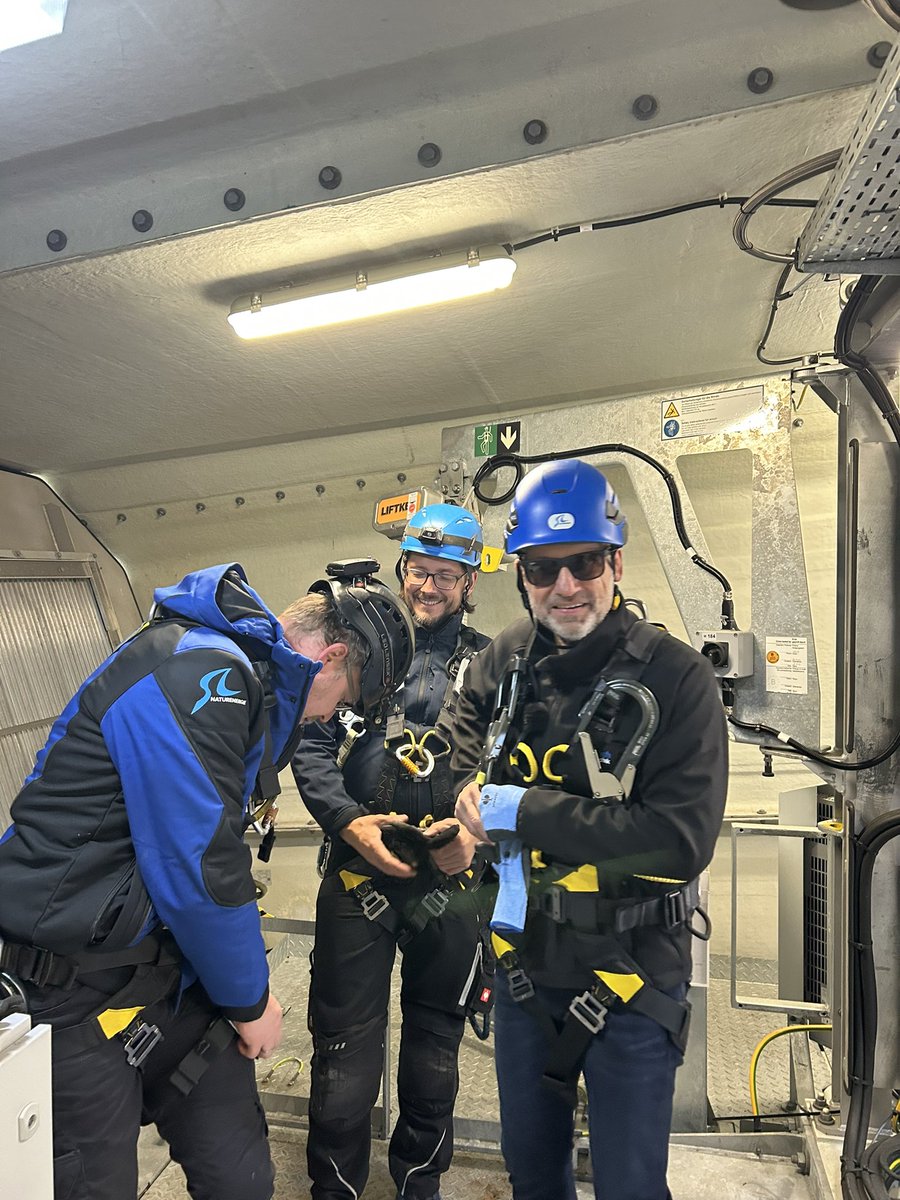 SL_NaturEnergie's tweet image. Nach Anbindung unserer #WEA Brechtefeld-Süd ans Werksnetz der Firma #Schöneweiss in Hagen haben sich heute CEO Dr. Frank Werner (Schöneweiss GmbH und Co) &amp;amp; @Michael_Huebner (SL) die direkte Kabeltrasse aus 149m Höhe genau angeschaut! #direktbelieferung #Industrie #machen_Wir