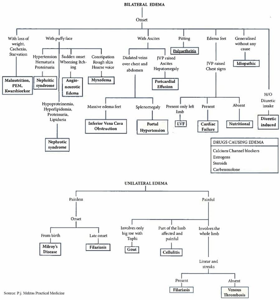 The Heart tweet media