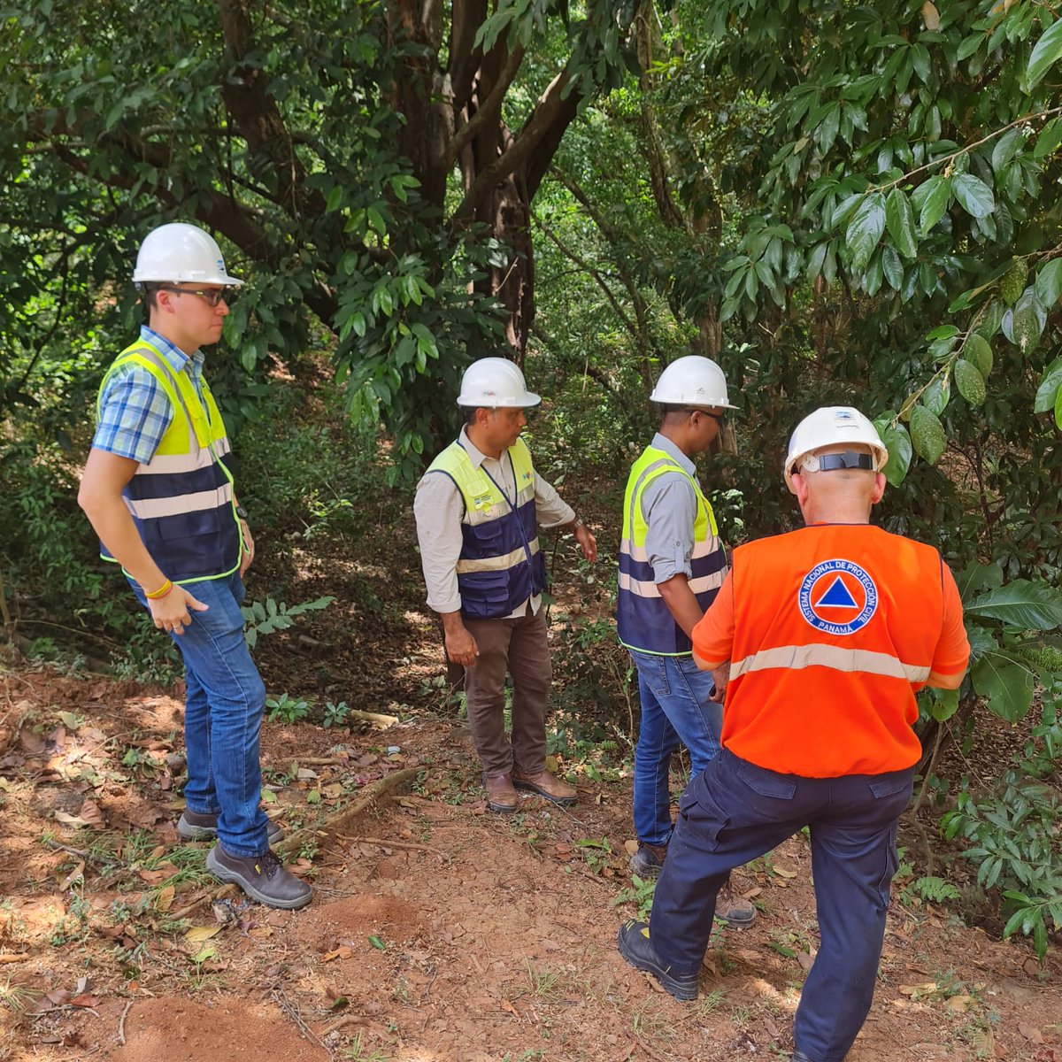 MinGobPma's tweet image. Desde el Sistema Nacional de Protección Civil @Sinaproc_Panama trabajamos mano a mano con la comunidad. Más de 50 comunidades ya se han unido a esta misión de vida, capacitándose en RCP, primeros auxilios y gestión de riesgos. La prevención empieza con cada uno de nosotros.