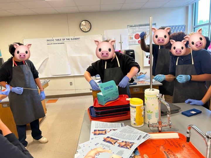 Ms. Cutler🔬 (@cutlerscience) on Twitter photo The last two weeks have been dissection days for my <a href="/TravisMSBobcats/">Travis Bobcats</a> GT biologists. They dissected frogs and fetal pigs. They always loved seeing how long the small intestines were for each specimen. Hands on science is the best 😊🥼🐸🐷
#myIrvingISD The last two weeks have been dissection days for my <a href="/TravisMSBobcats/">Travis Bobcats</a> GT biologists. They dissected frogs and fetal pigs. They always loved seeing how long the small intestines were for each specimen. Hands on science is the best 😊🥼🐸🐷
#myIrvingISD
