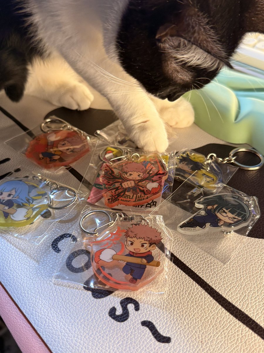 ❗️УВАГА РОЗІГРАШ❗️

Я доєднуюсь до збору <a href="/AnnaTsepla/">Домашній притулок «ZooBanda»-Запоріжжя🇺🇦</a> на машинку банкою на 50К

🫙 send.monobank.ua/jar/AfxXnYnVzY

В розіграші є чотири лота:

1. За донат, кратний 200 грн ви отримуєте можливість виграти фігурку Frieren
2. Кратний 100 — фігурку Се ляня