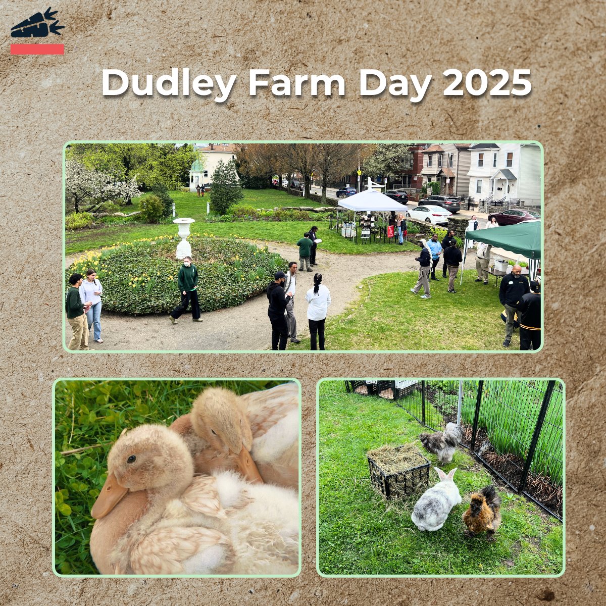 GrowBostonCOB's tweet photo. On April 26th, GrowBoston's Savannah McLean tabled at Dudley Farm Day at the Shirley Eustis House! She connected and shared resources with community members, enjoyed baby goats, a petting zoo, and butter-making! 🐐🥳 Thanks to Shirley Eustis House for a great event! https://t.co/qq0AePxiev