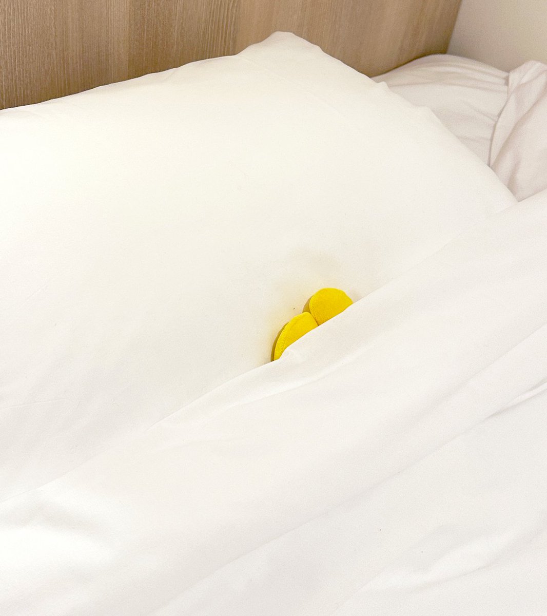 How's the job search going?