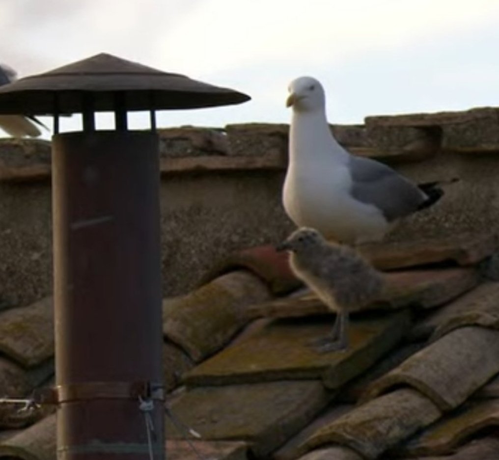 FrMikeCSC's tweet photo. "Mom, it's just a boring old chimney. Can we PLEASE go to McDonald's now??" https://t.co/6PHwoOn9Bh