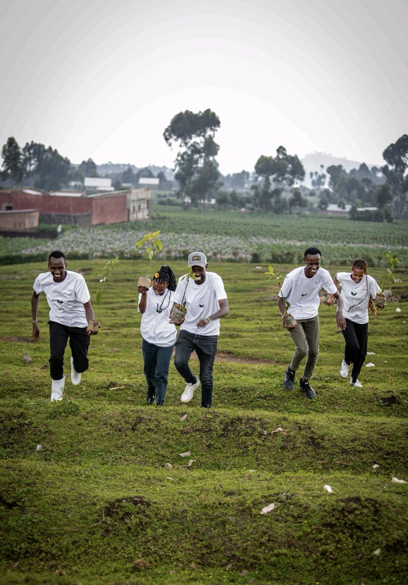 UmwariFelicia's tweet image. I held hope in my hands😊 not just seedlings, but future fruit, shade and stories.
 
Proud to stand with @ISAROEconext and @yuhi_tech as we planted 1,500 avocado trees in Mudende, a sector in @RubavuDistrict

Climate action begins here. 💚 #TreeByTree