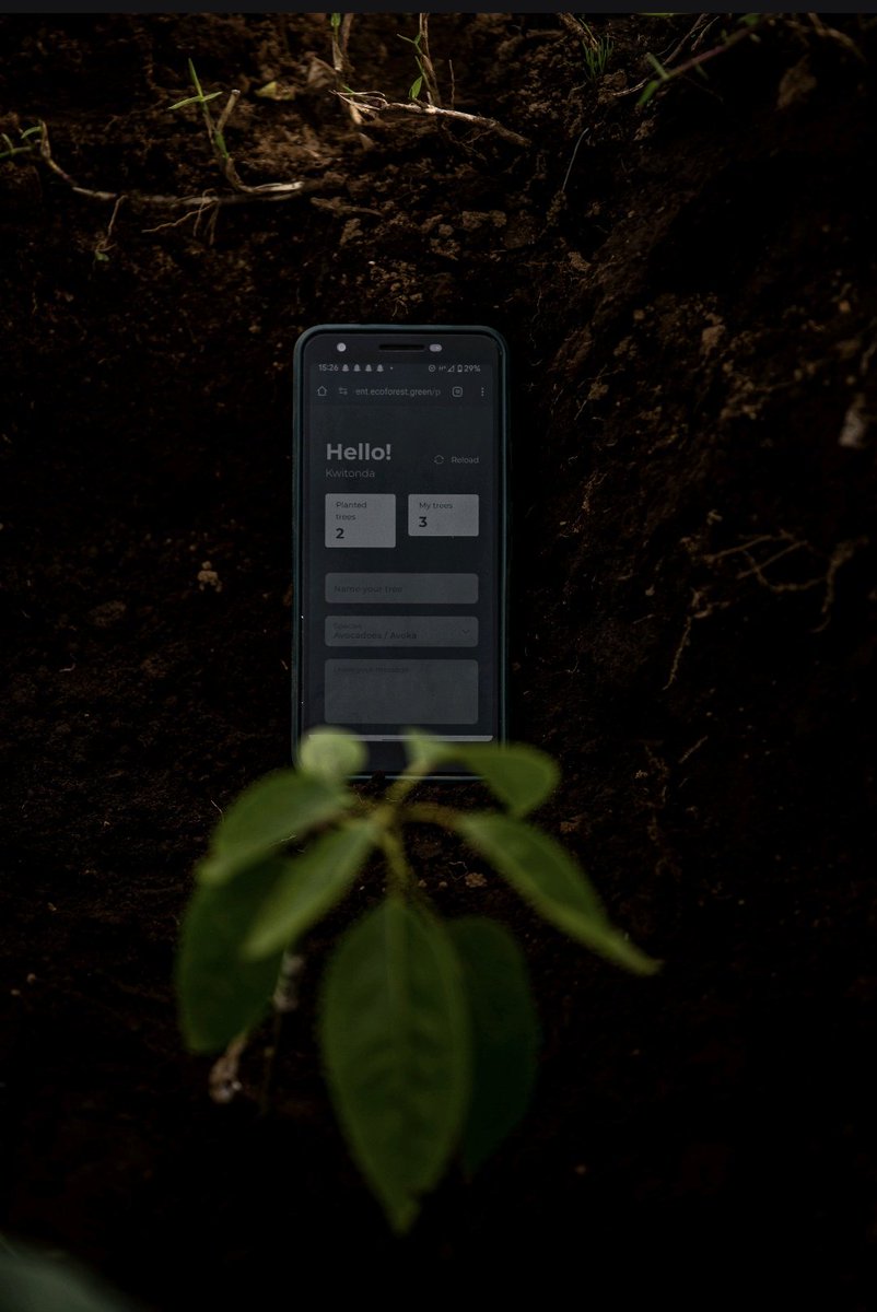 UmwariFelicia's tweet image. I held hope in my hands😊 not just seedlings, but future fruit, shade and stories.
 
Proud to stand with @ISAROEconext and @yuhi_tech as we planted 1,500 avocado trees in Mudende, a sector in @RubavuDistrict

Climate action begins here. 💚 #TreeByTree