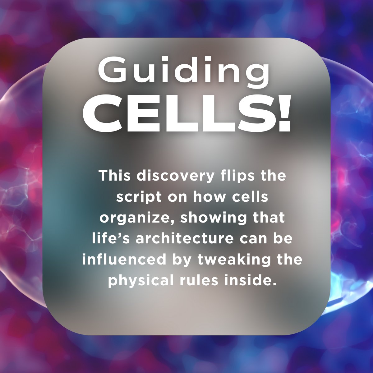 Mutant Mouse Resource & Research Centers (@mmrrc) on Twitter photo Scientists can now guide how cells self-organize using internal forces.  Imagine using this to grow tissues in mice faster to test new therapies.  Source: journals.aps.org/prl/abstract/1… Scientists can now guide how cells self-organize using internal forces.  Imagine using this to grow tissues in mice faster to test new therapies.  Source: journals.aps.org/prl/abstract/1…