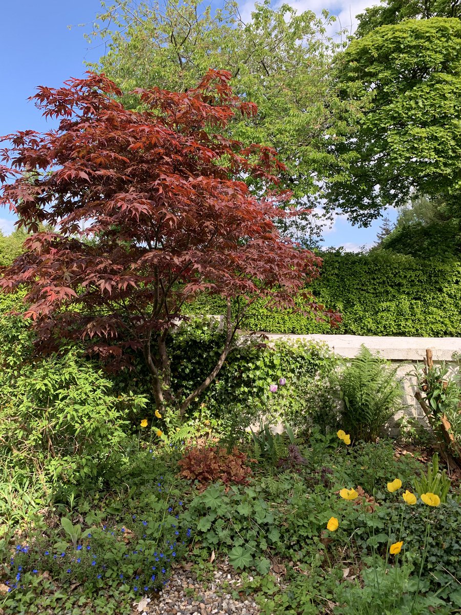 Mark Shephard 🏳️‍🌈 tweet media