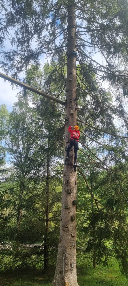 St Kenneth's RCPS tweet media