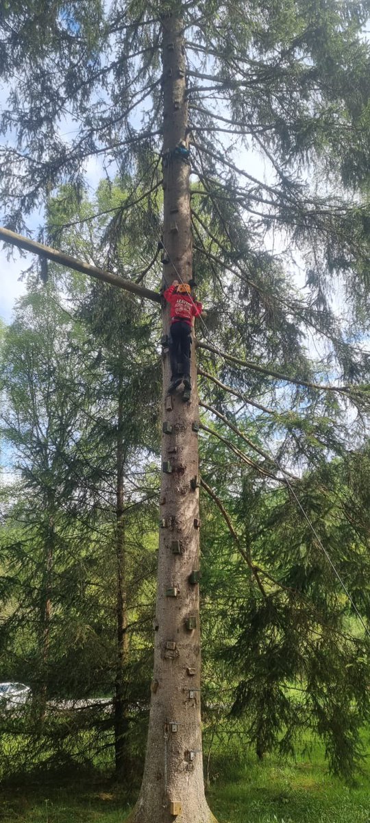 St Kenneth's RCPS tweet media