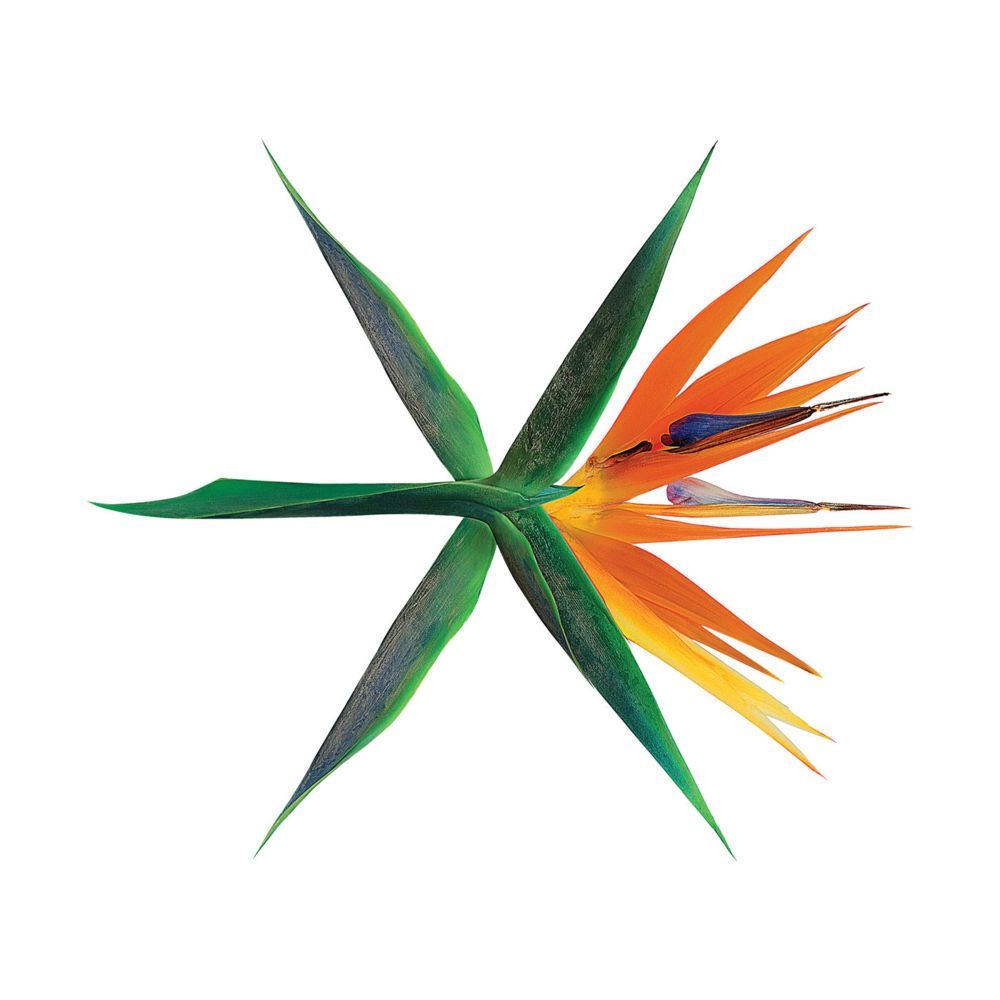 chartdata's tweet photo. EXO's 'The War / The Power Of Music' has now surpassed 500 million streams on Spotify (@weareoneEXO). https://t.co/06X7uwXmnA