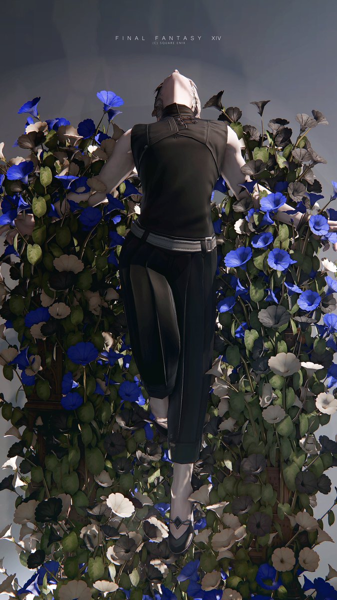 emo_rabi's tweet photo. 『残光蕣花』
🏷#Studio_Lueur
#FF14SS┋#ヴィエラオス https://t.co/s8HjTtAfbB