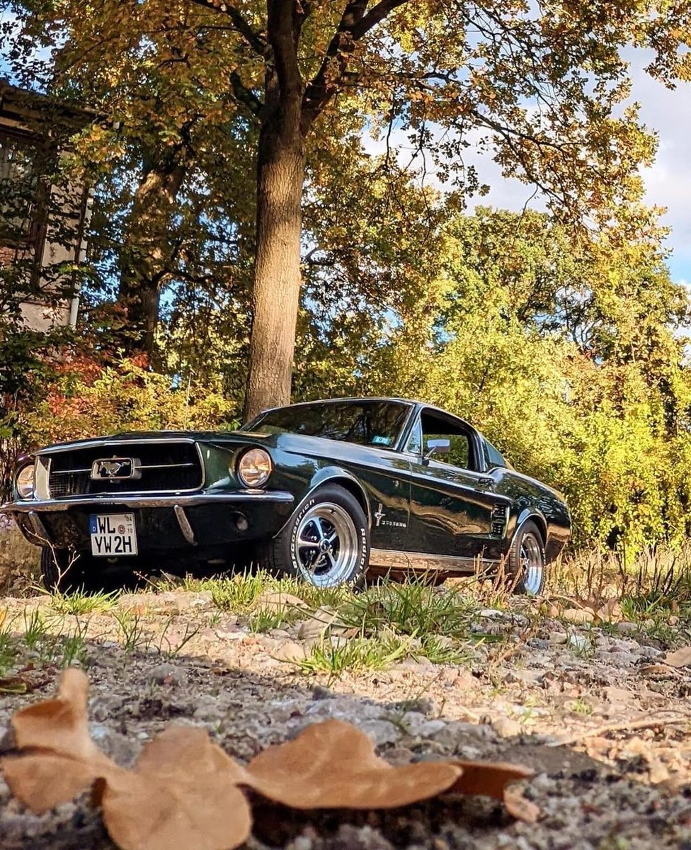 arabasevdamiz's tweet photo. 1967 Ford Mustang 🍁 https://t.co/AruopJVTQl