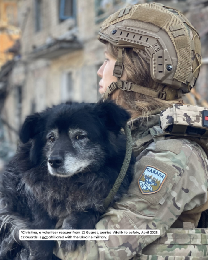 Veterinarians Without Borders tweet media