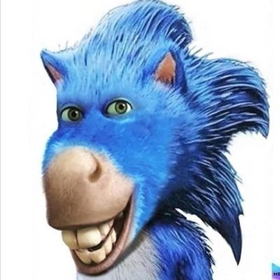 Kız: Yani soyu belirsiz melezin tekisin

Bizim literal pp: