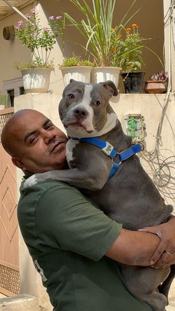 ravi_rajor's tweet image. #petlovers