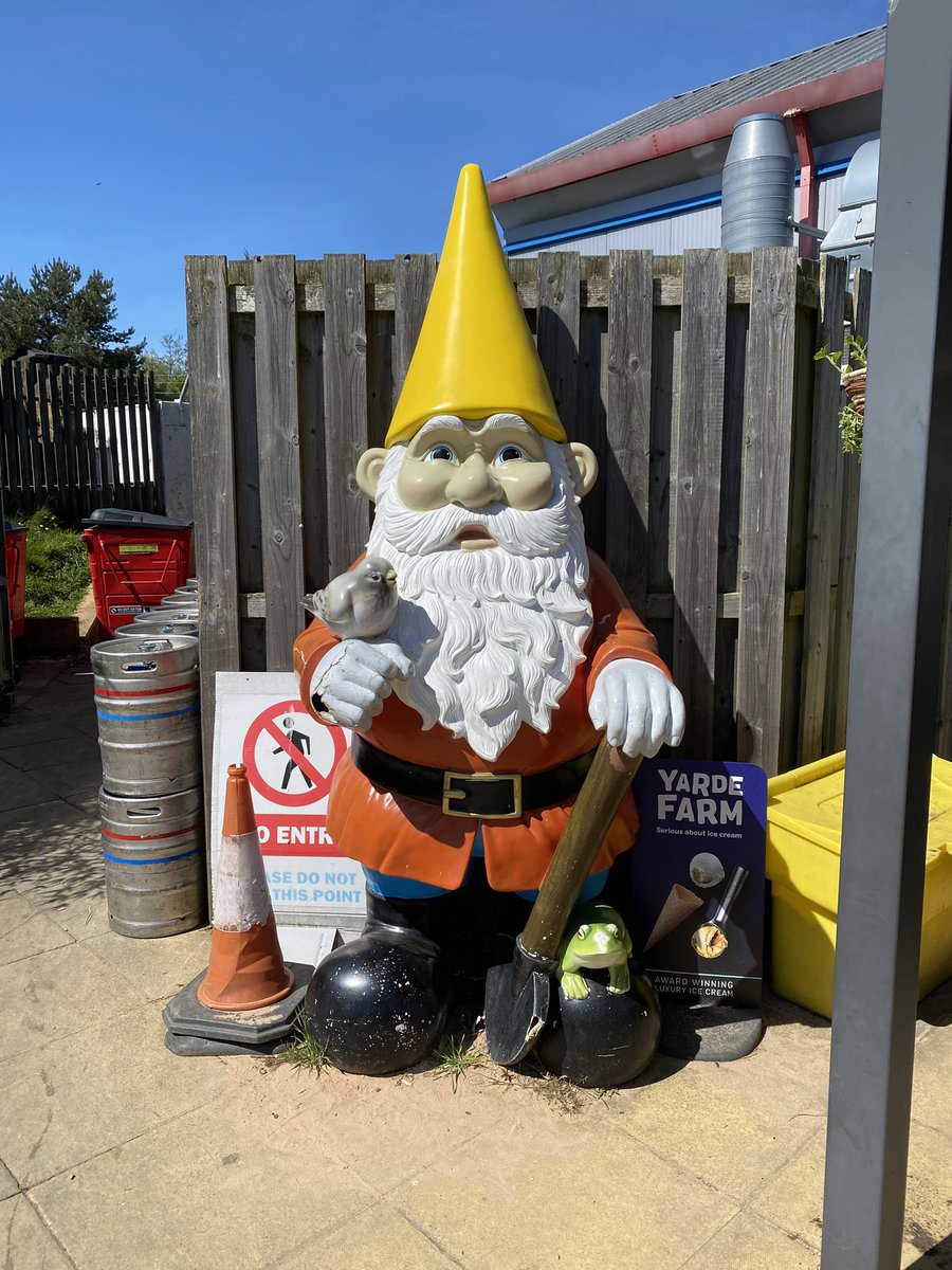 Gnome_Generator's tweet image. Everywhere I go I see gnomes!