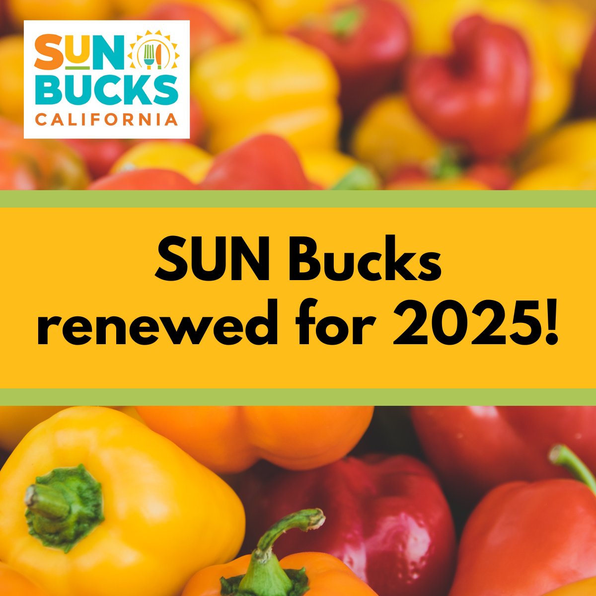 Exciting news! 🌞 SUN Bucks are back for 2025. This federally funded food program provides families with $120 per eligible child for food during summer break. Benefits will be issued starting in June. Get all the details here: bit.ly/4k6GIpl