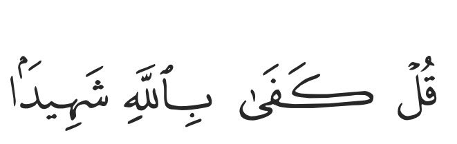 They are trying to annihilate the cities that call your name 

Ya Rab you are the only witness