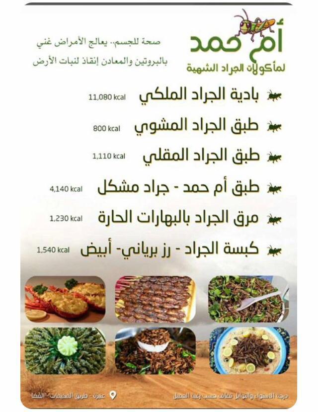 لا اسمع احد يلوم الصينيين على أكل الخفاش والضفادع...