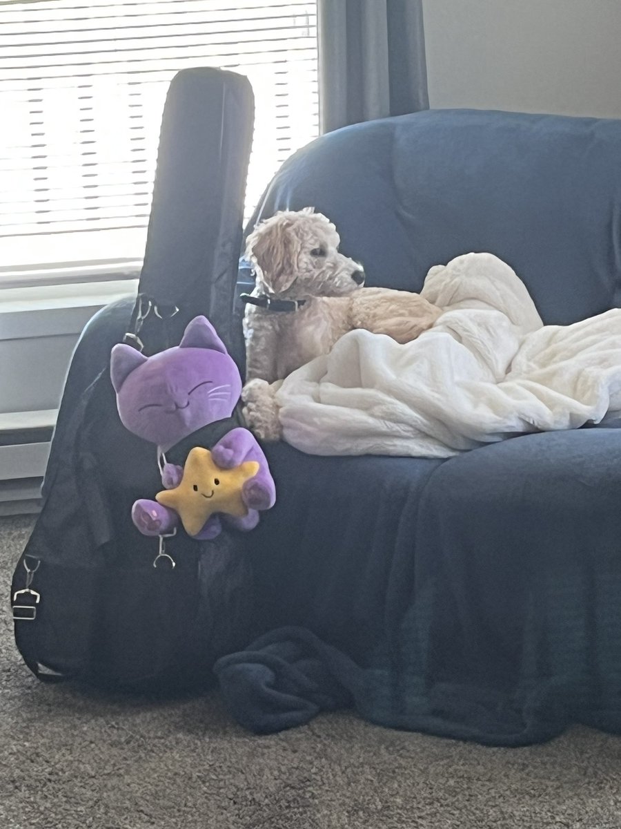 Woeful-Whispers (@whoaimwoeful007) on Twitter photo <a href="/purrplecat/">Purrple Cat</a> 😸!!!
I’m happy to report our new (purple) passenger has arrived at our Super Secret Lunar Outpost. 🌝
We’ve taken safety measures just to make sure our Purrple passenger is safely secured for <a href="/NASAUniverse/">NASA Universe</a> space exploration. 🚀👨🚀😸 <a href="/purrplecat/">Purrple Cat</a> 😸!!!
I’m happy to report our new (purple) passenger has arrived at our Super Secret Lunar Outpost. 🌝
We’ve taken safety measures just to make sure our Purrple passenger is safely secured for <a href="/NASAUniverse/">NASA Universe</a> space exploration. 🚀👨🚀😸