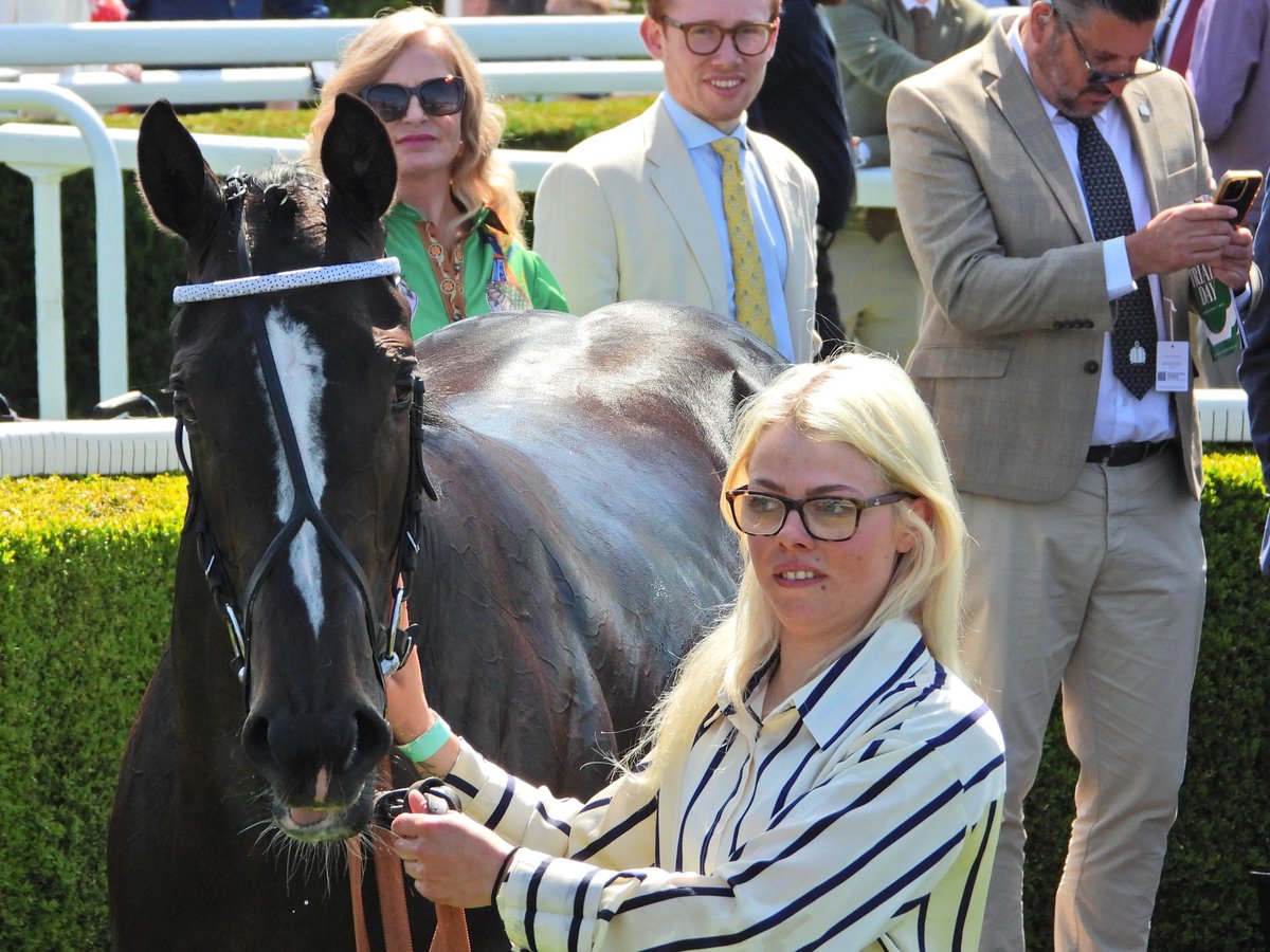 Racing South West (was South West Racing Club) (@racingsouthwes1) on Twitter photo Ali Shuffle leaves them all punch drunk making all from stall 1 to win the the Lily Agnes for <a href="/samjock22/">Sam James</a> and <a href="/karl_burke/">Karl Burke</a> <a href="/ChesterRaces/">chesterraces</a> Ali Shuffle leaves them all punch drunk making all from stall 1 to win the the Lily Agnes for <a href="/samjock22/">Sam James</a> and <a href="/karl_burke/">Karl Burke</a> <a href="/ChesterRaces/">chesterraces</a>