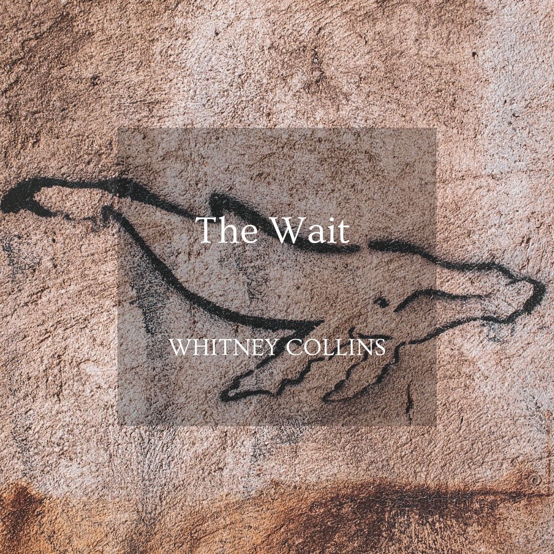 “The whale was weathered black, seasoned with scars and barnacles. His grooved jaw resembled an unfurled tire.” Read Whitney Collins story, “The Wait,” today: swamp-pink.charleston.edu/featured/the-w…