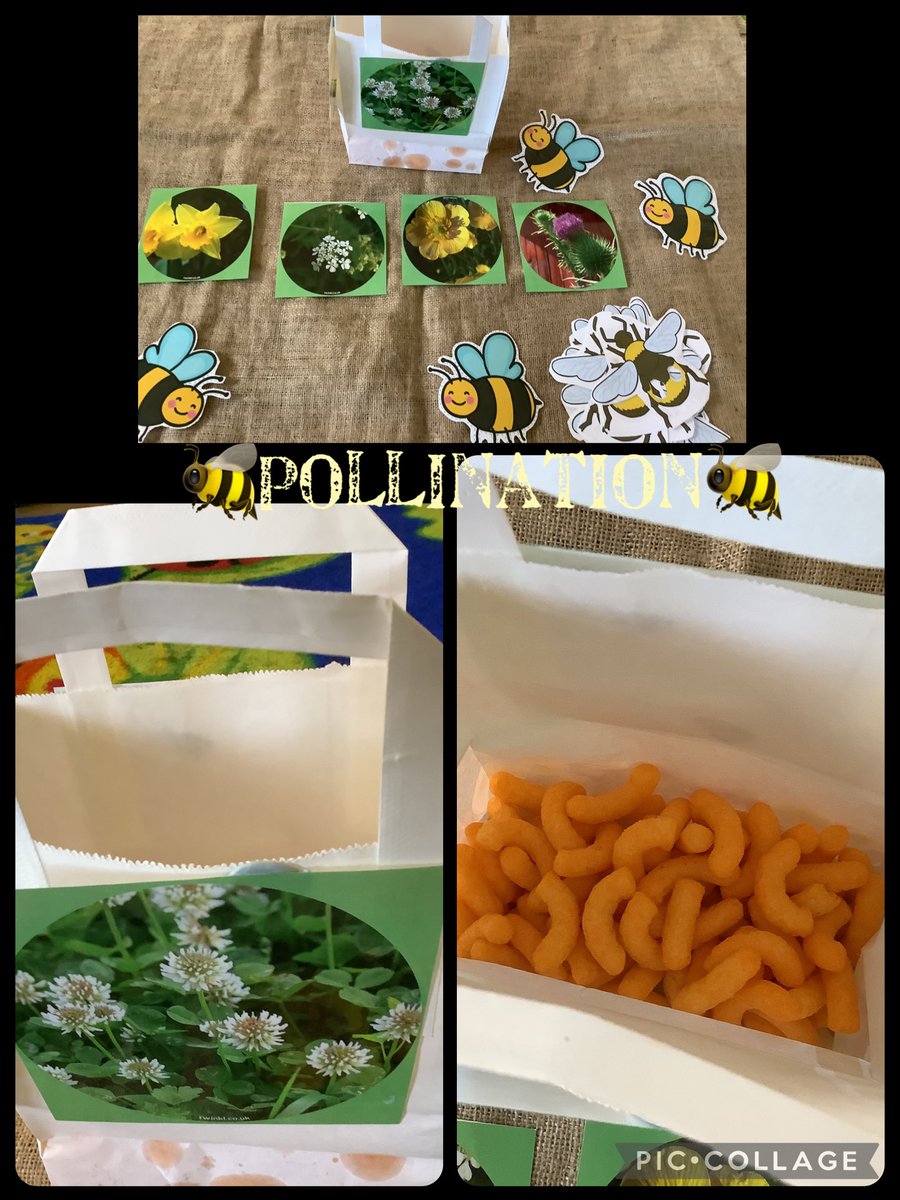 St Gerard's Catholic Primary & Nursery School tweet media