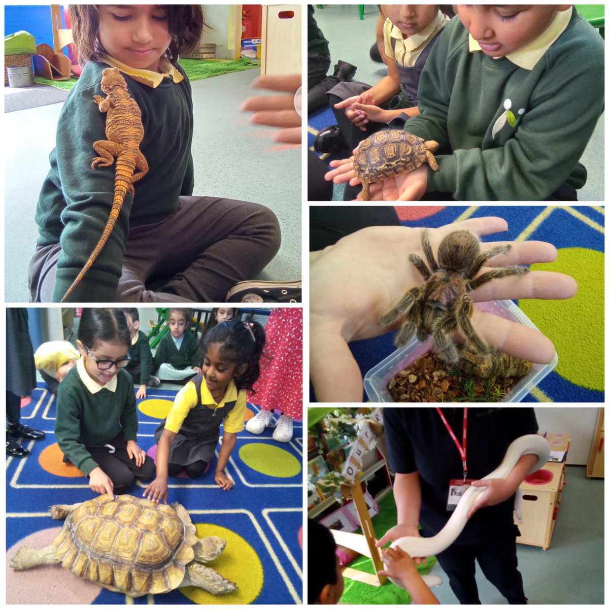 Margaret McMillan Primary School (@mmps_bradford) on Twitter photo Reception had some special visitors today from โInto the Wildโ! Can you guess which wild friends came to say hello? #EYFS #UTW <a href="/PriestleyTrust/">The Priestley Academy Trust</a> Reception had some special visitors today from โInto the Wildโ! Can you guess which wild friends came to say hello? #EYFS #UTW <a href="/PriestleyTrust/">The Priestley Academy Trust</a>