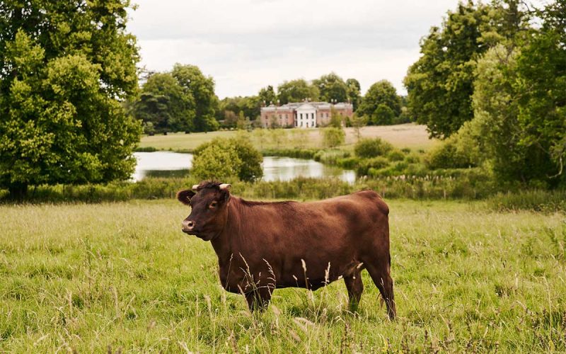Dive into "wild wellness" at the Avington Estate! 🌿 From lakeside saunas &amp; icy dips to fly fishing lessons &amp; cosy shepherd's huts with hot tubs. Located in the heart of Hampshire💚➡️ britishtraveljournal.com/avington-estat… #AvingtonEstate #WellnessRetreat  #Hampshire #Travel #UKTravel