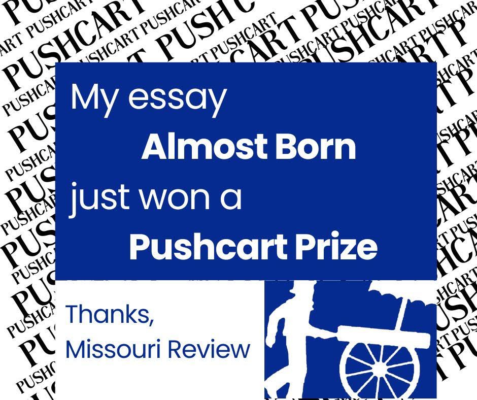 So honored to share that my essay “Almost Born” has won a Pushcart Prize! Thank you to The Missouri Review for championing it and awarding it the 2024 Perkoff Prize. It explores the silence around serial pregnancy loss and the communal joy of hiking the Camino Santiago.