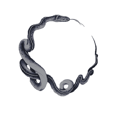 ‎ ‎ ‎‎ ‎ ‎ ‎‎ ‎ ‎ ‎‎‎ ‎ ‎ ‎‎ ‎ ‎ ‎‎ 𝐇𝐮𝐠𝐨 ᅠ. (@tesaur0) on Twitter photo 