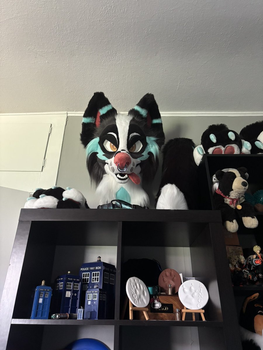 He’s staring at me mad we won’t be at FWA 😭 have fun everyone that’s going!