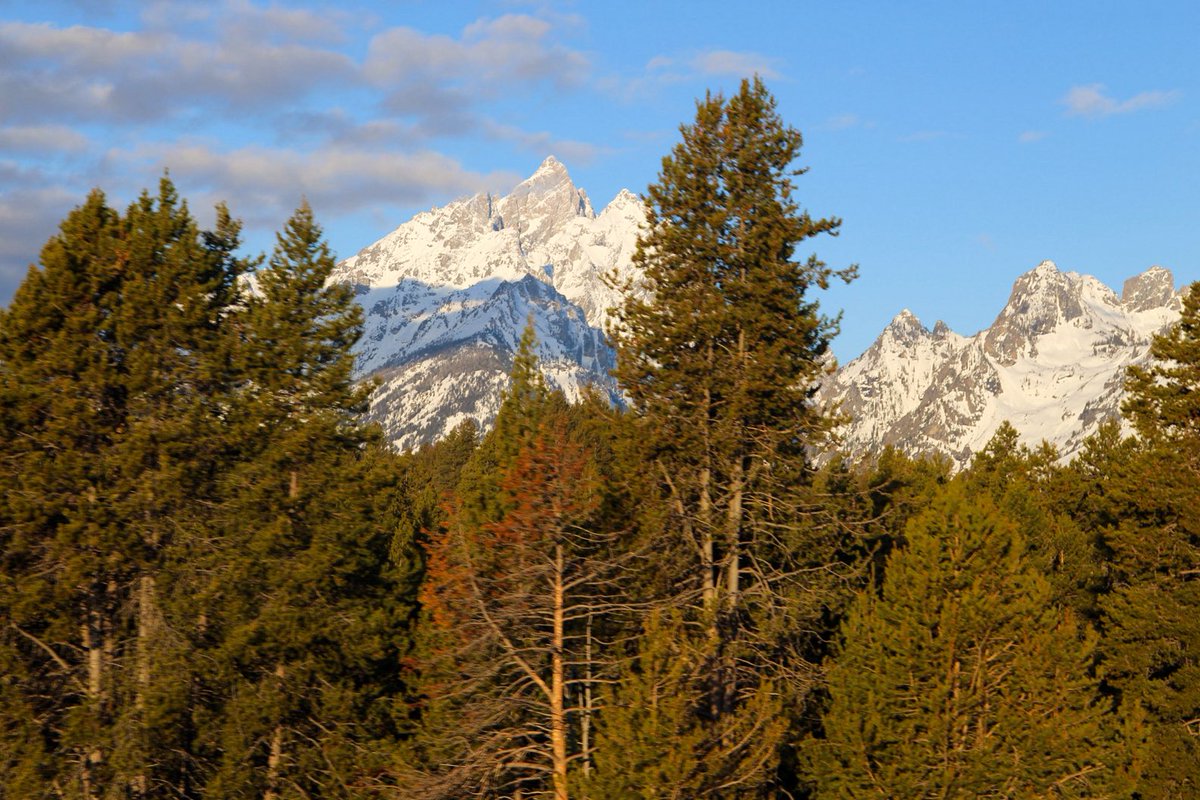 pickingcrabs's tweet image. Early morning spin around Grand Teton National Park before work this morning.