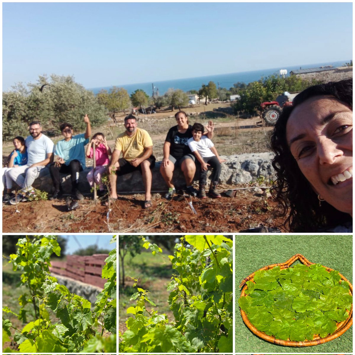 Sizinle birlikte herkesin adını yazıp kendi elleriyle ektiği asmalar tuttu, büyüdü yaprak verir duruma geldi siz yoksunuz ahh canlarım ahhh hangi birinize yanayım yaşayamadığınız her bir günün hesabını kimlere sorayım #isiasortakdavamız
