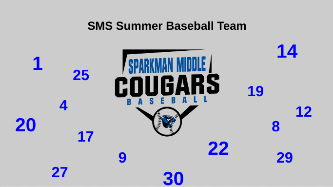 Congratulations to the following players for making the SMS Summer Baseball Team!