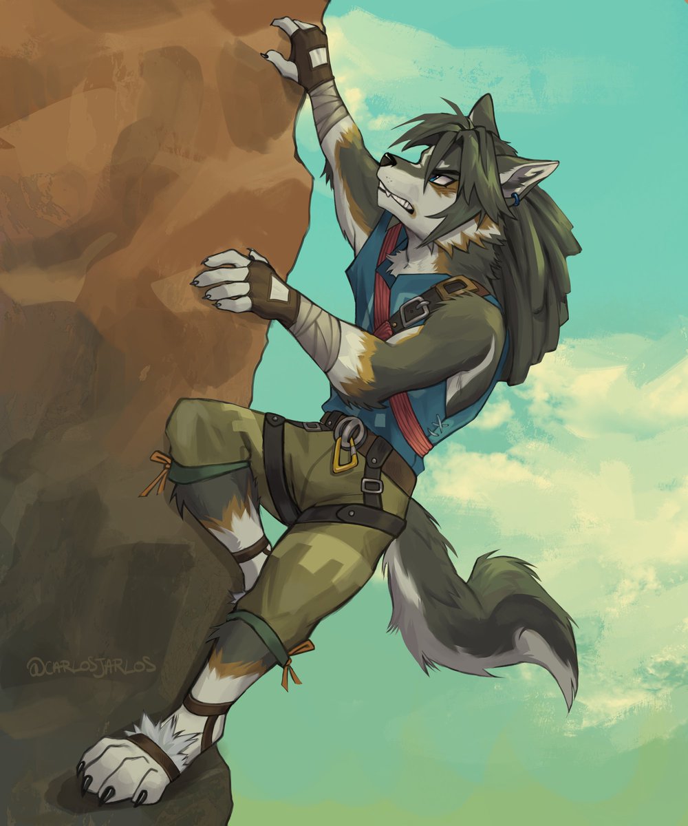 no that's not zelda 
(commission)
