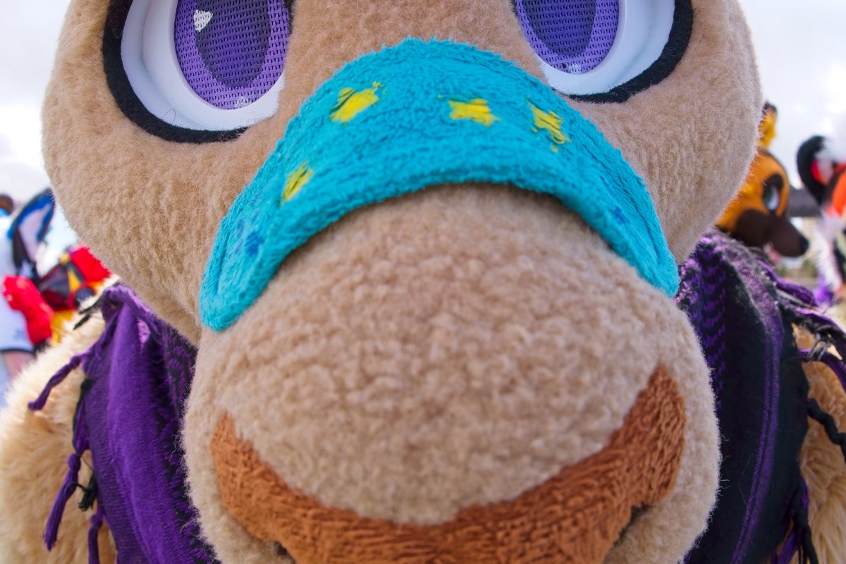 BandaidRoo's tweet image. Catch me at #FWA2025 in some sort of form. Probably colorful. Might have a mic in my hand. Who knows what the weekend holds. 🔥