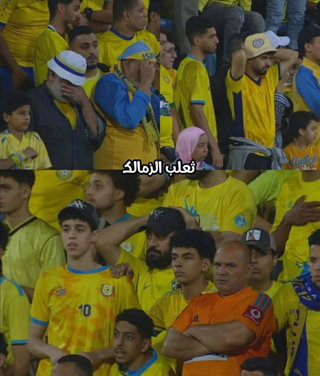 ثعلب الزمالك tweet media